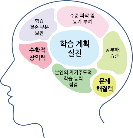 뇌구조
