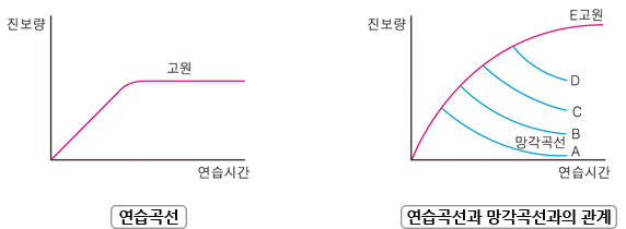 그래프